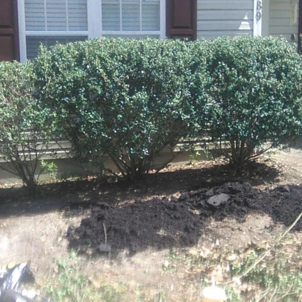 Top-rated lawn mowing service for homes across Winnabow, NC - Whitecz LawnCare and Cleaning