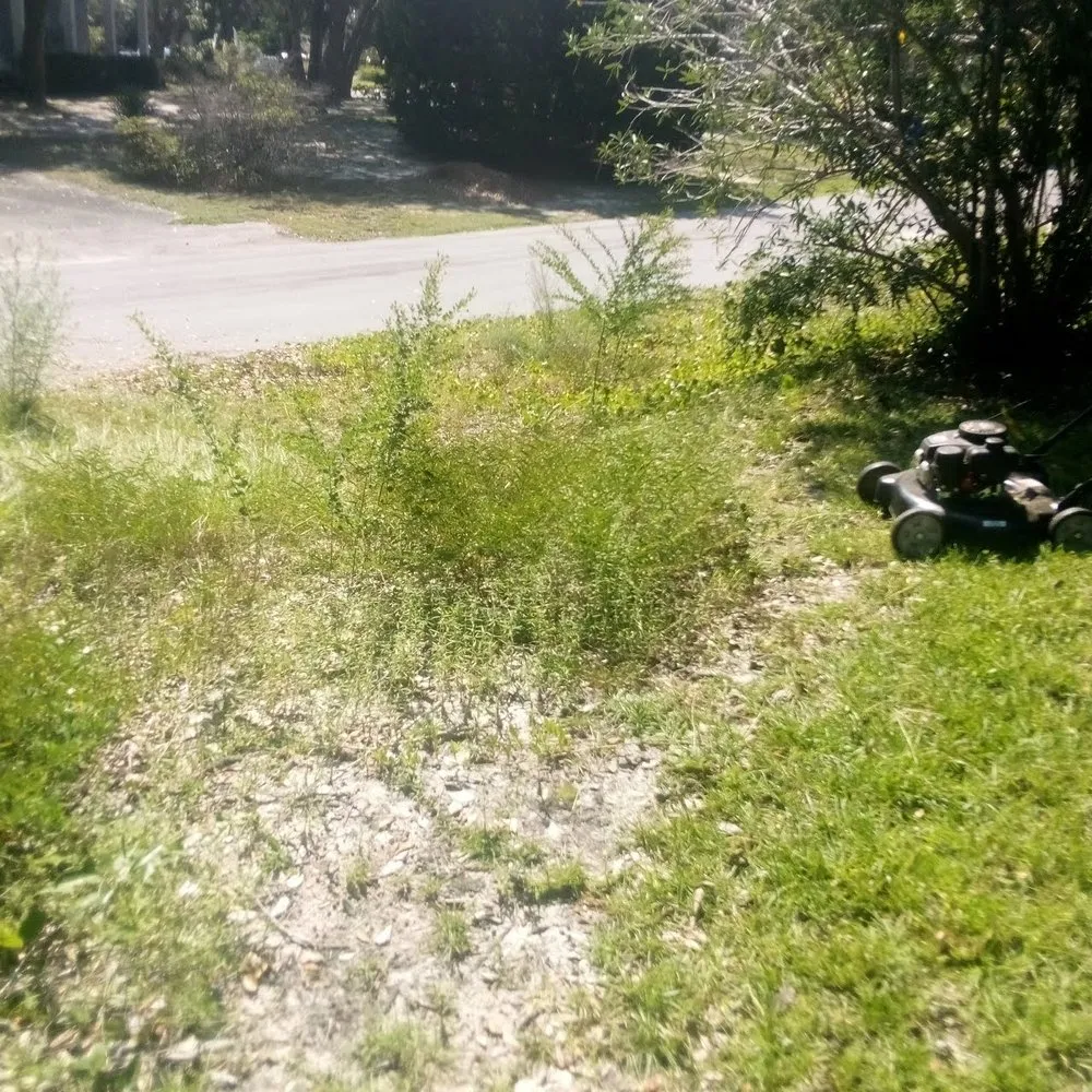 Trusted landscaping services in Winnabow, NC by Whitecz LawnCare and Cleaning