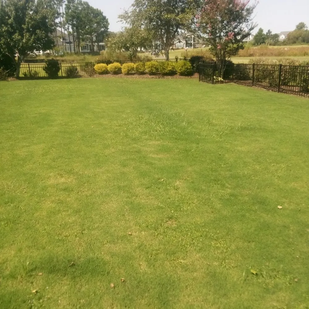 Local landscaping services for residential properties across Winnabow, NC - Whitecz LawnCare and Cleaning
