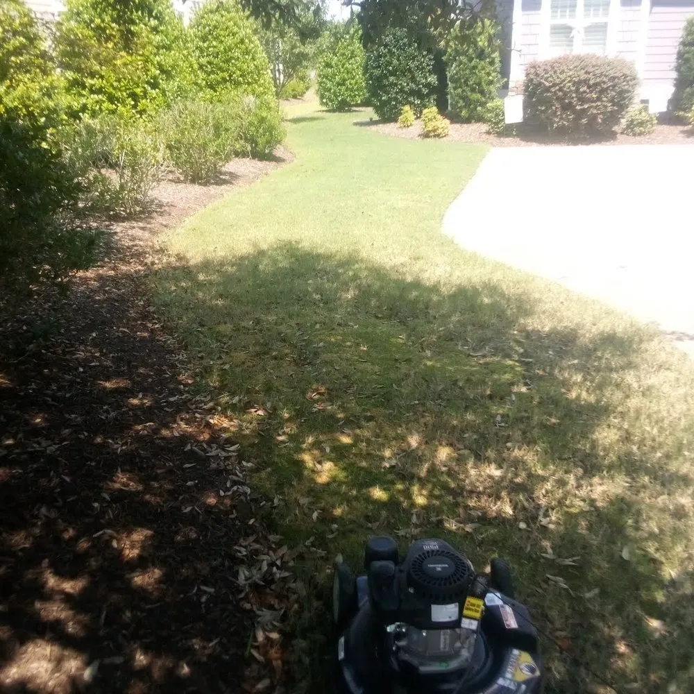 Top-rated yard maintenance in Winnabow, NC - Whitecz LawnCare and Cleaning