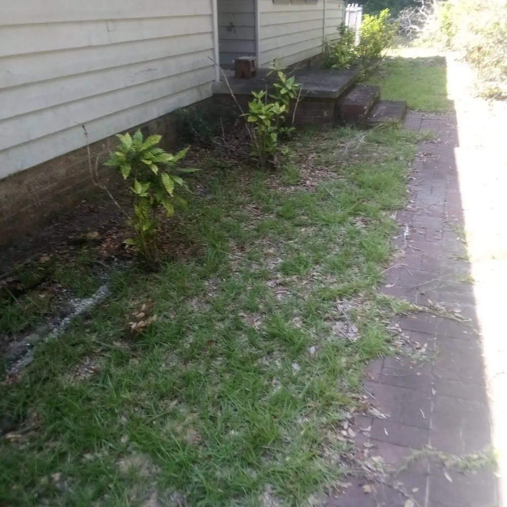 Top-rated landscape installation experts serving Winnabow, NC - Whitecz LawnCare and Cleaning
