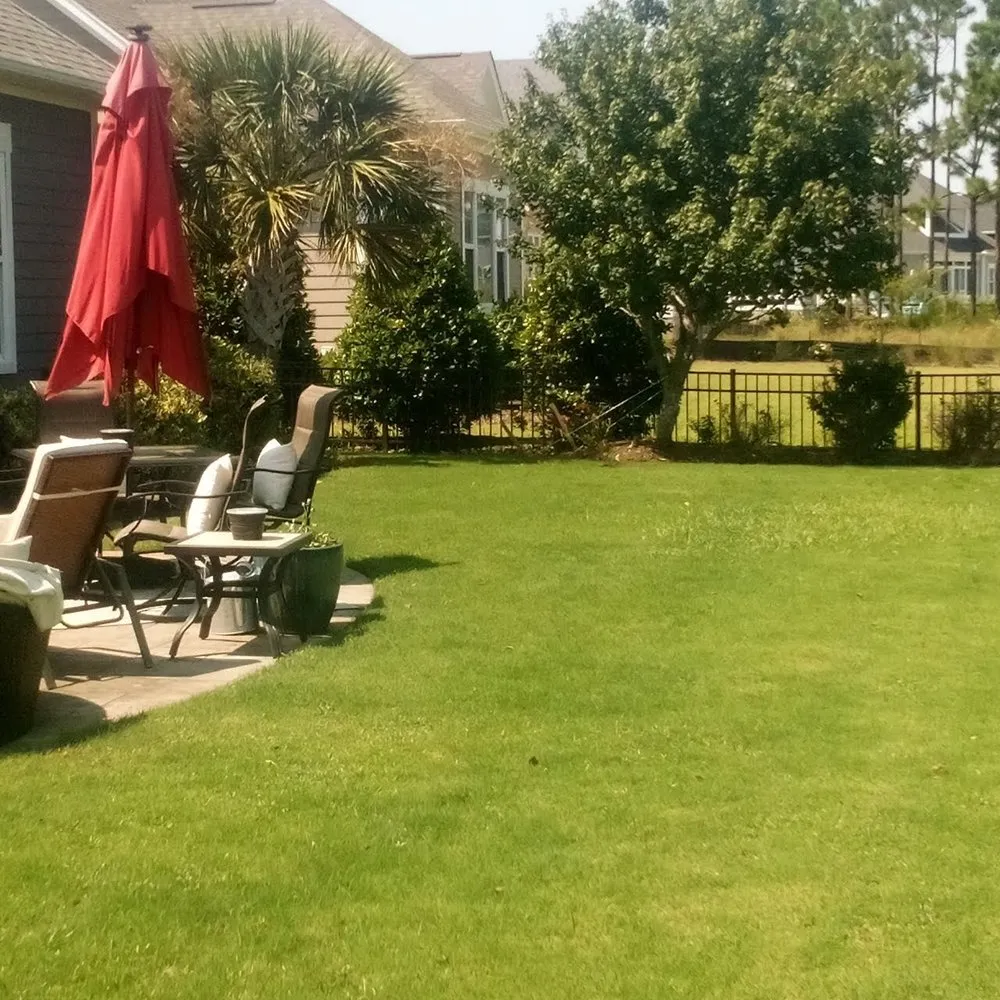 Local yard cleanup service in Winnabow, NC - Whitecz LawnCare and Cleaning