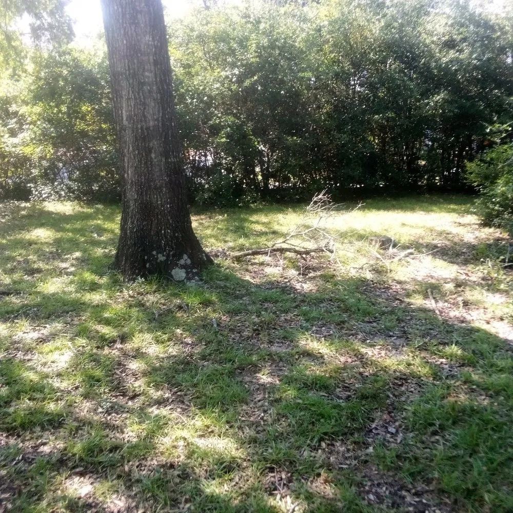 Top-rated landscaping services experts serving Winnabow, NC - Whitecz LawnCare and Cleaning