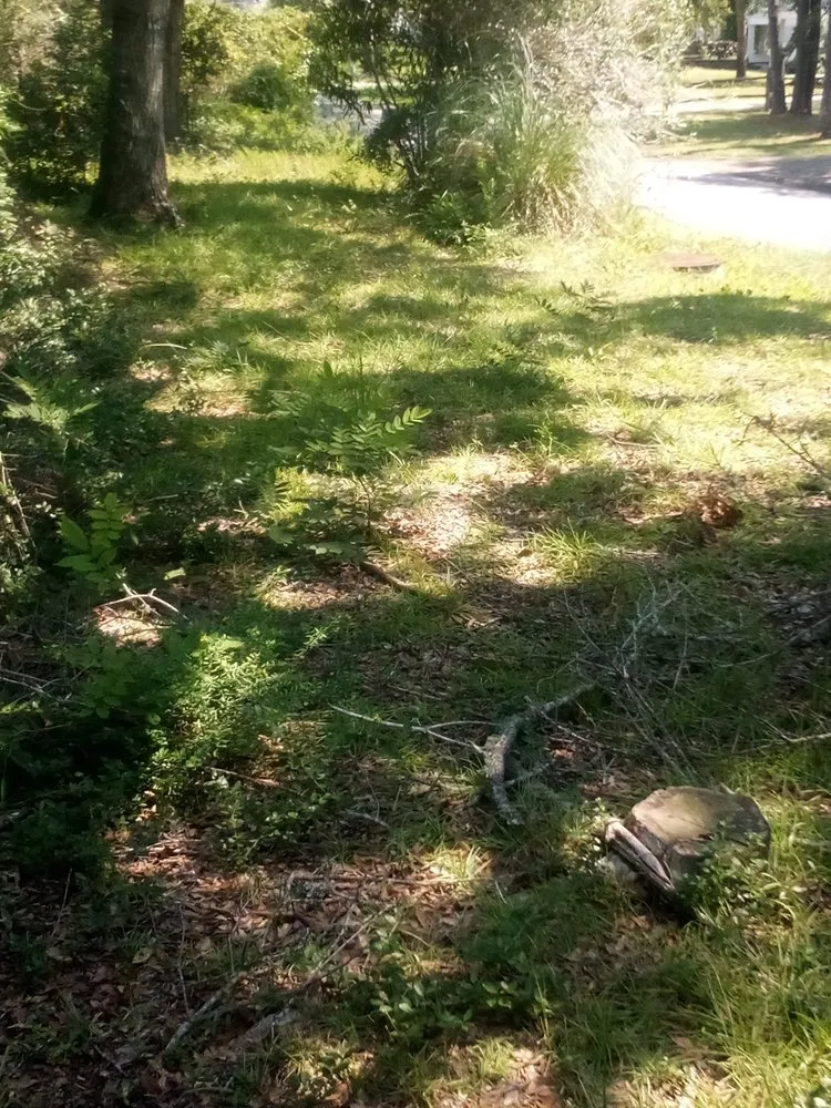Affordable outdoor landscaping in Winnabow, NC - Whitecz LawnCare and Cleaning