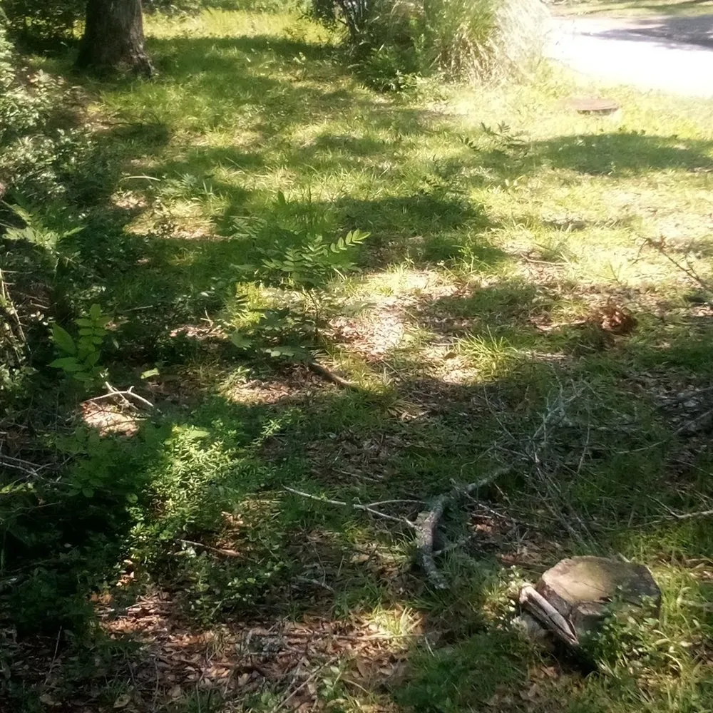 Custom landscape design in Winnabow, NC - Whitecz LawnCare and Cleaning