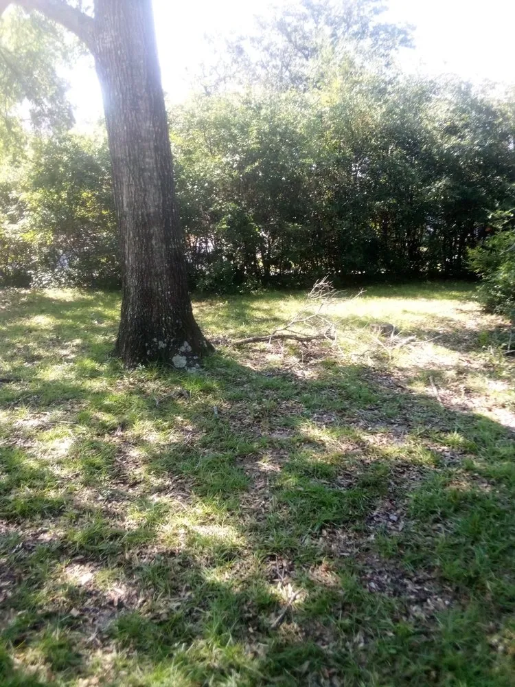 Local yard cleanup service experts serving Winnabow, NC - Whitecz LawnCare and Cleaning