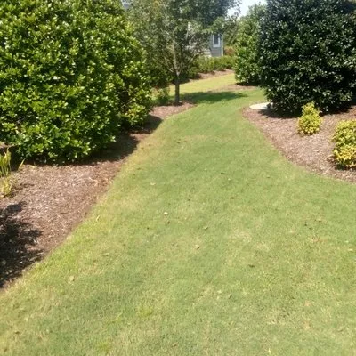 Whitecz LawnCare and Cleaning Logo