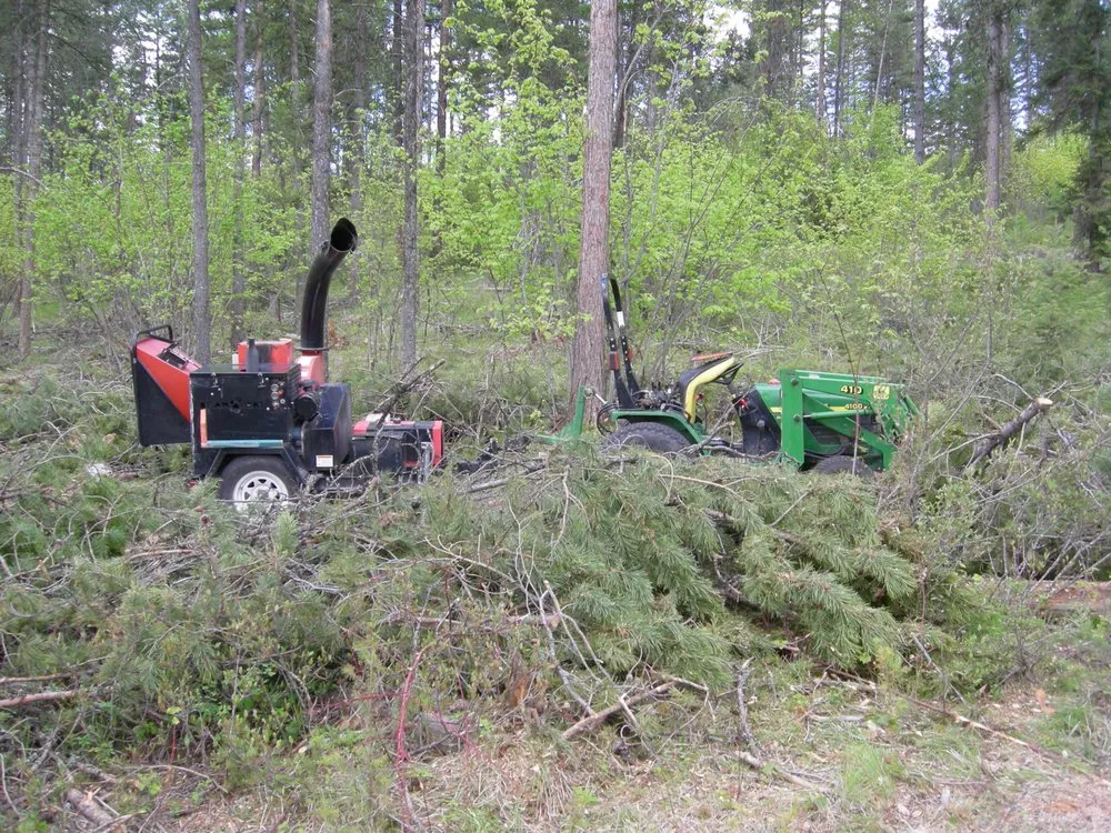 Professional landscape design in Whitefish, MT - Whitefish Hills Service