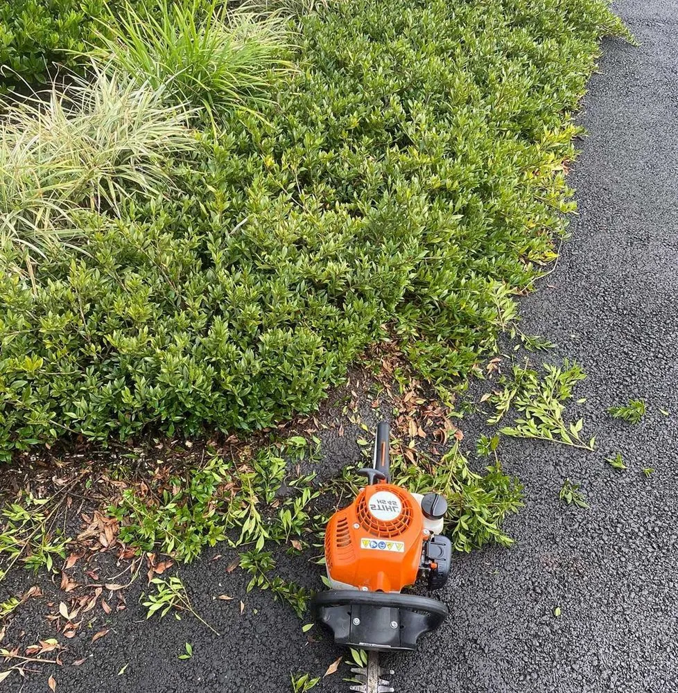 Expert lawn care service in Dallas, TX by Whitehall Lawn Care