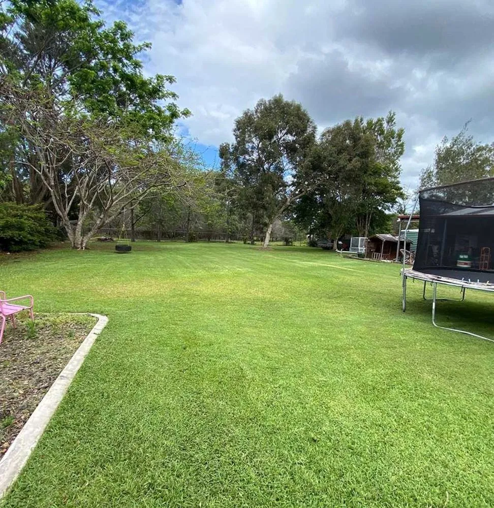 Professional landscape installation for residential properties across Dallas, TX - Whitehall Lawn Care