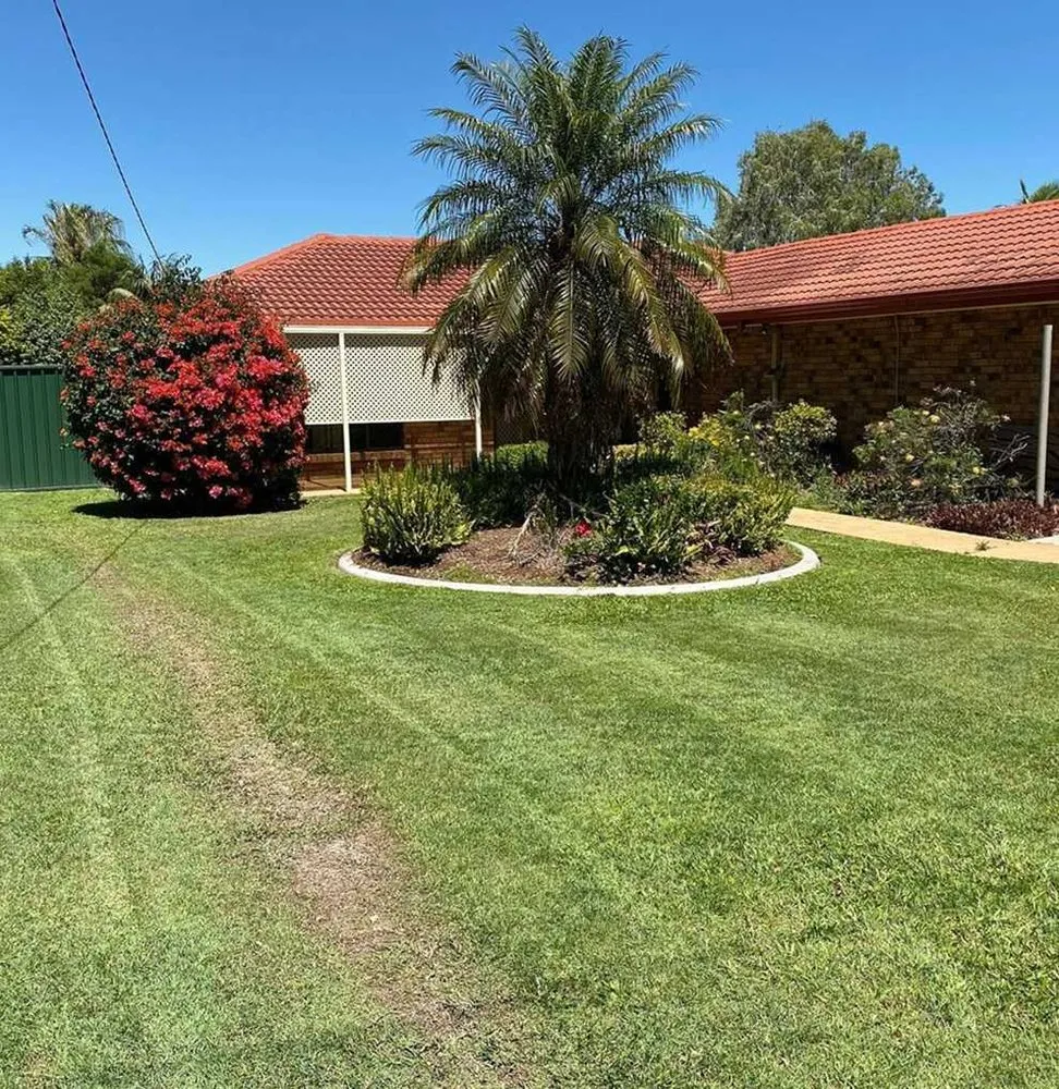 Affordable yard cleanup service with custom design across Dallas, TX - Whitehall Lawn Care