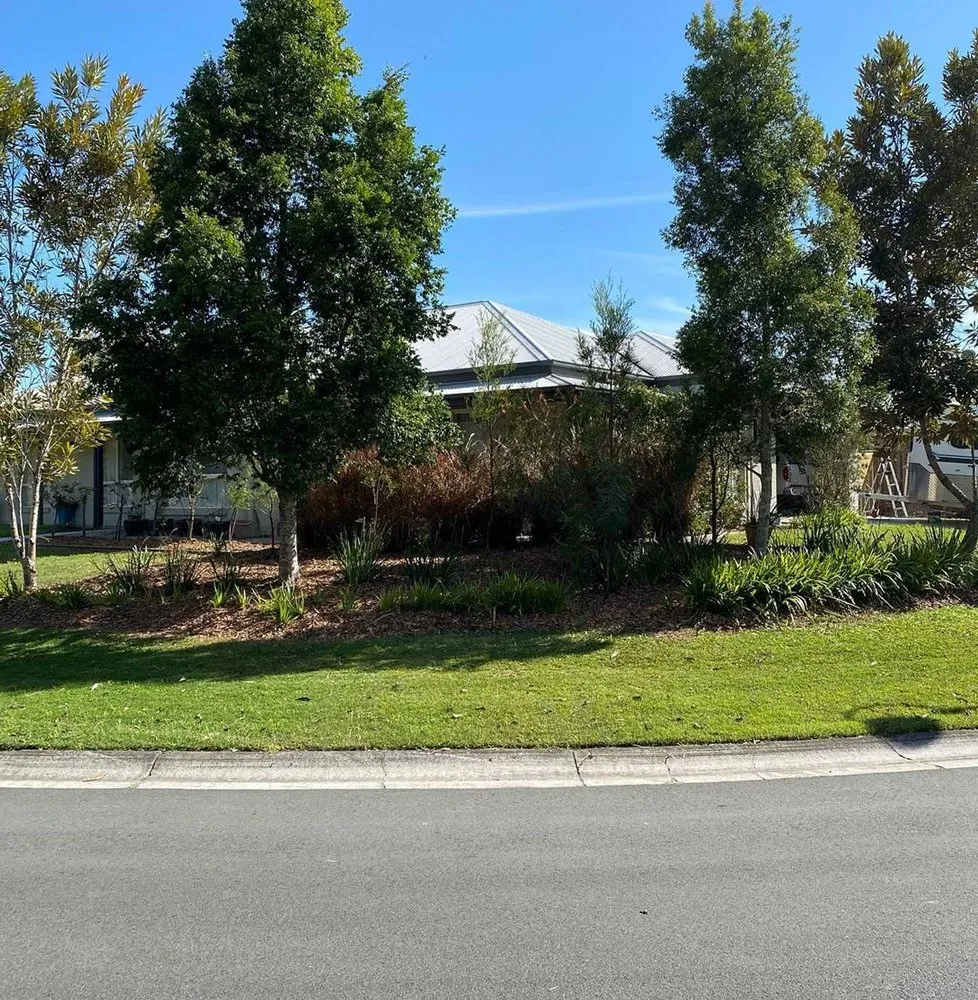 Local landscape design in Dallas, TX - Whitehall Lawn Care