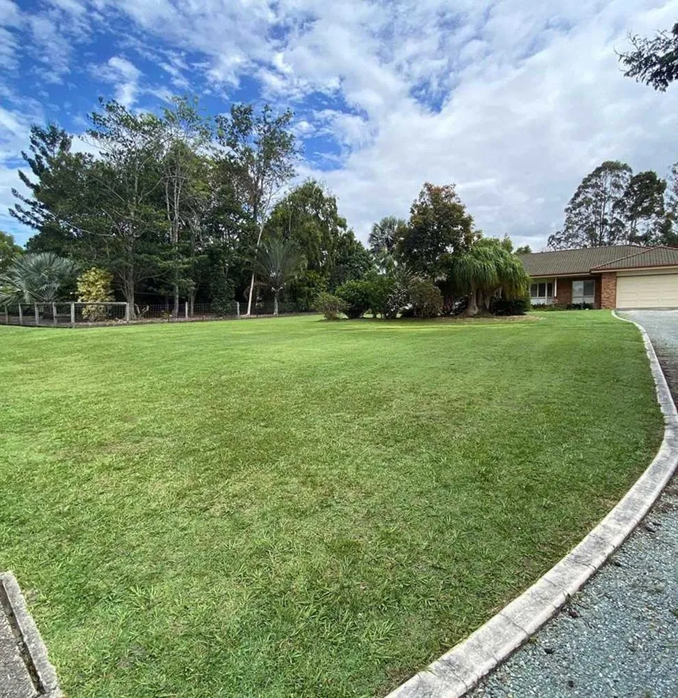 Professional landscaping services for year-round maintenance in Dallas, TX by Whitehall Lawn Care