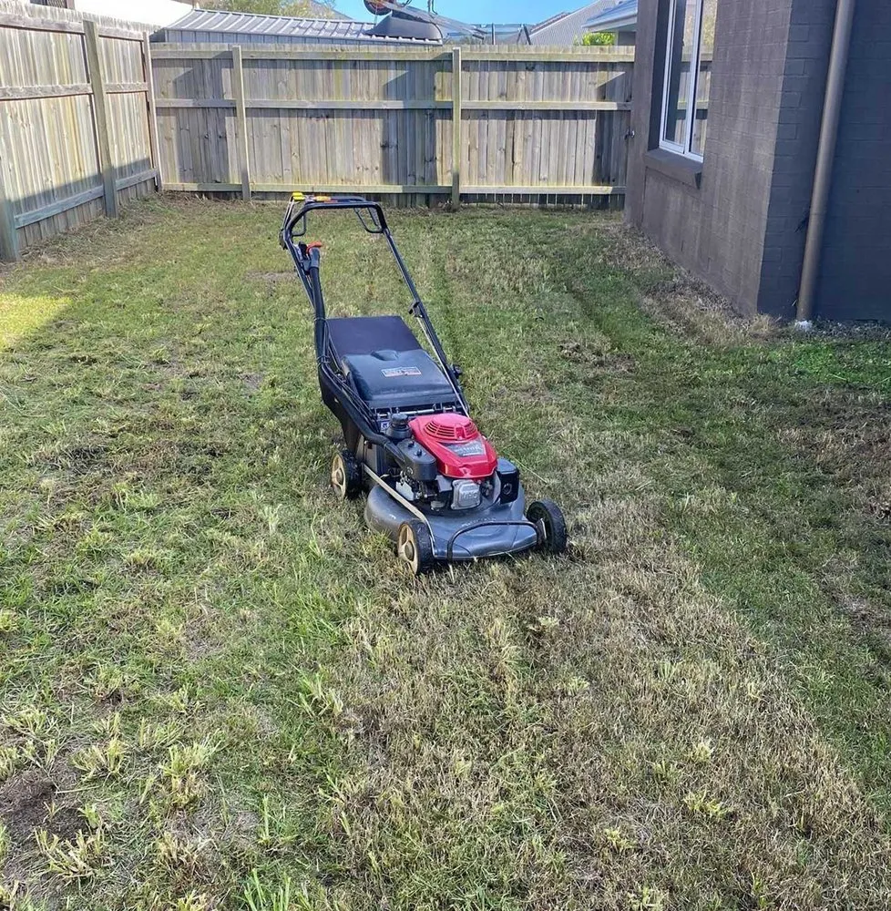 Expert garden landscaping in Dallas, TX by Whitehall Lawn Care