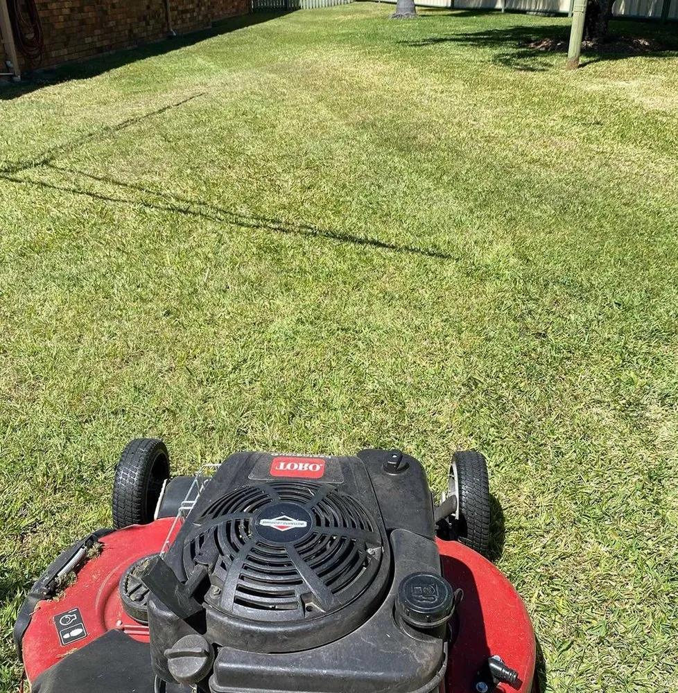 Custom landscape installation for beautiful yards across Dallas, TX - Whitehall Lawn Care