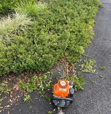 Whitehall Lawn Care Logo