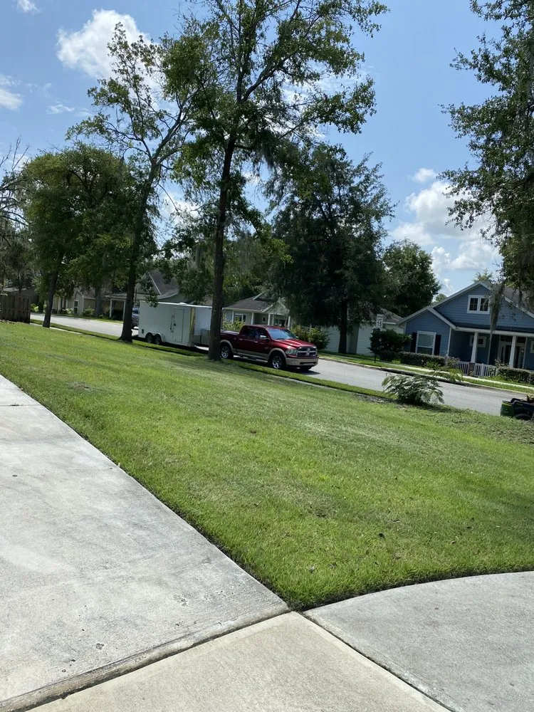 Local yard cleanup service with custom design across St Petersburg, FL - Whitehead Picture Perfect Services