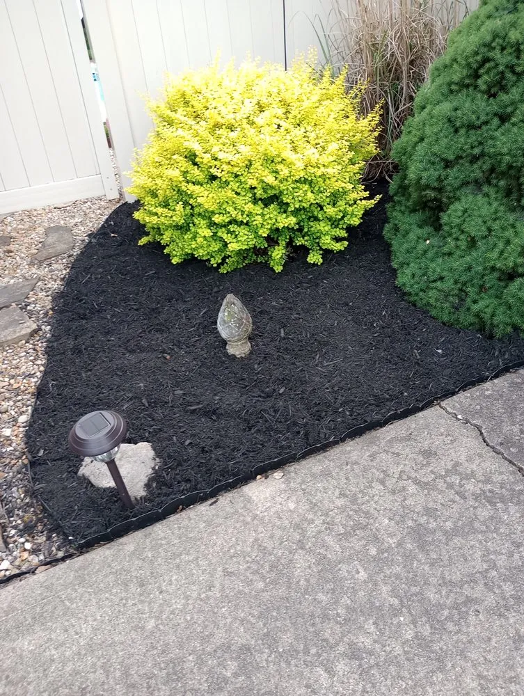 Trusted yard maintenance experts serving Indianapolis, IN - Whitehouse Junk Removal Cleaning And Lawn Care