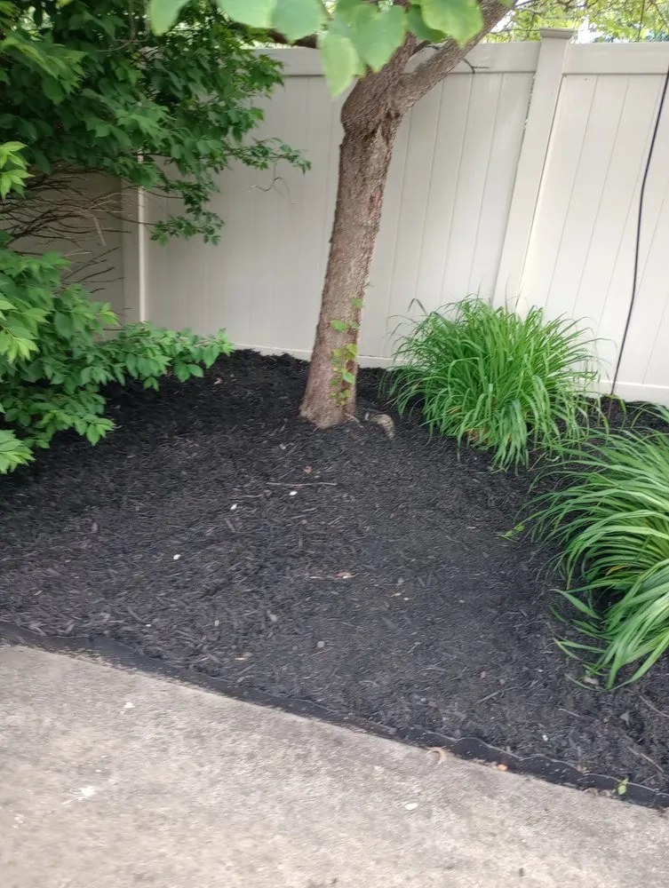 Custom lawn care service experts serving Indianapolis, IN - Whitehouse Junk Removal Cleaning And Lawn Care