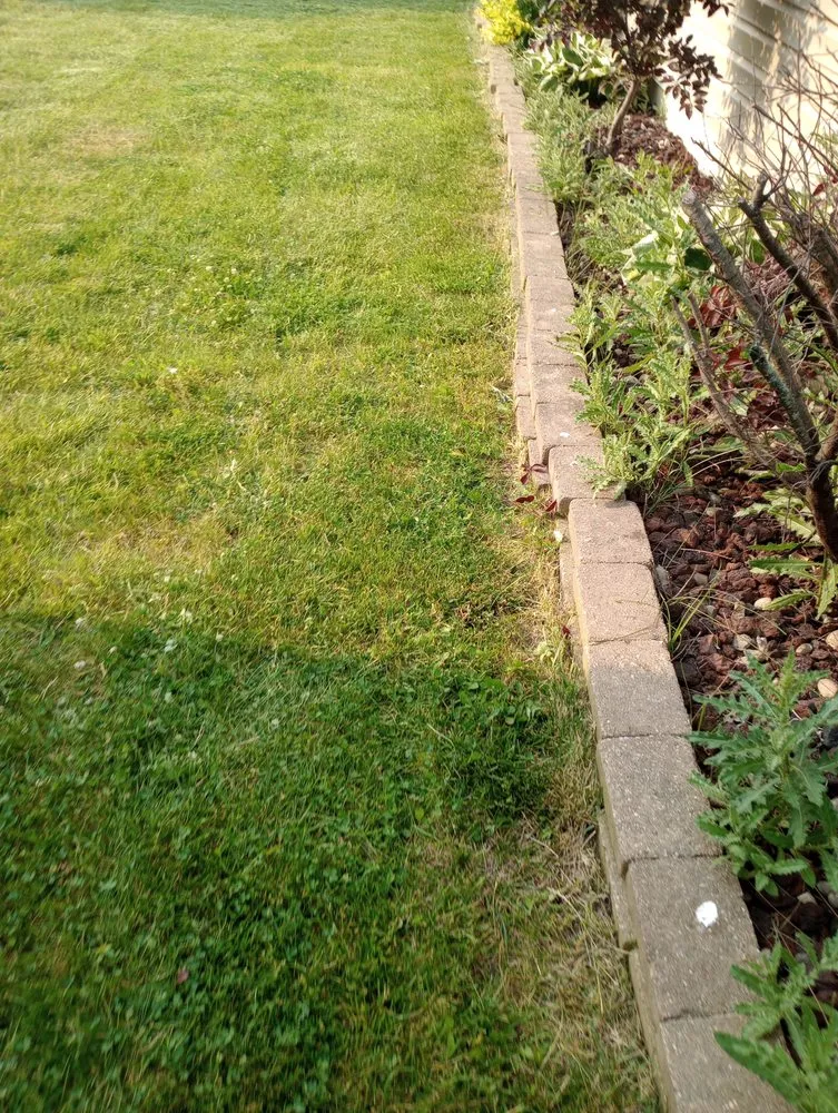 Top-rated lawn mowing service with custom design in Indianapolis, IN by Whitehouse Junk Removal Cleaning And Lawn Care