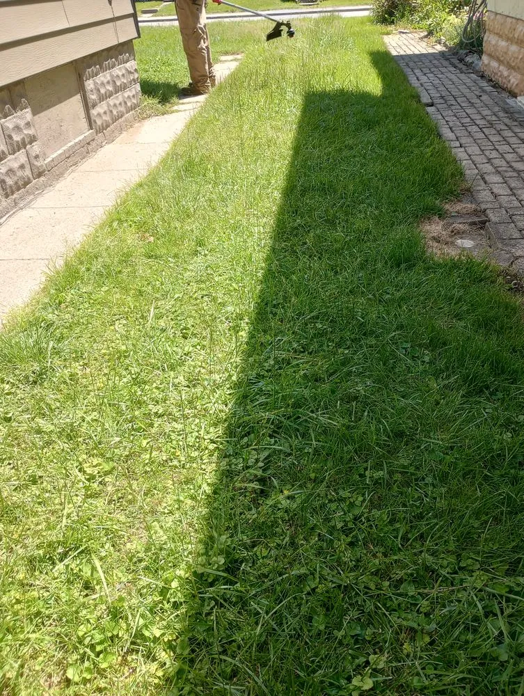 Reliable landscape installation experts serving Indianapolis, IN - Whitehouse Junk Removal Cleaning And Lawn Care