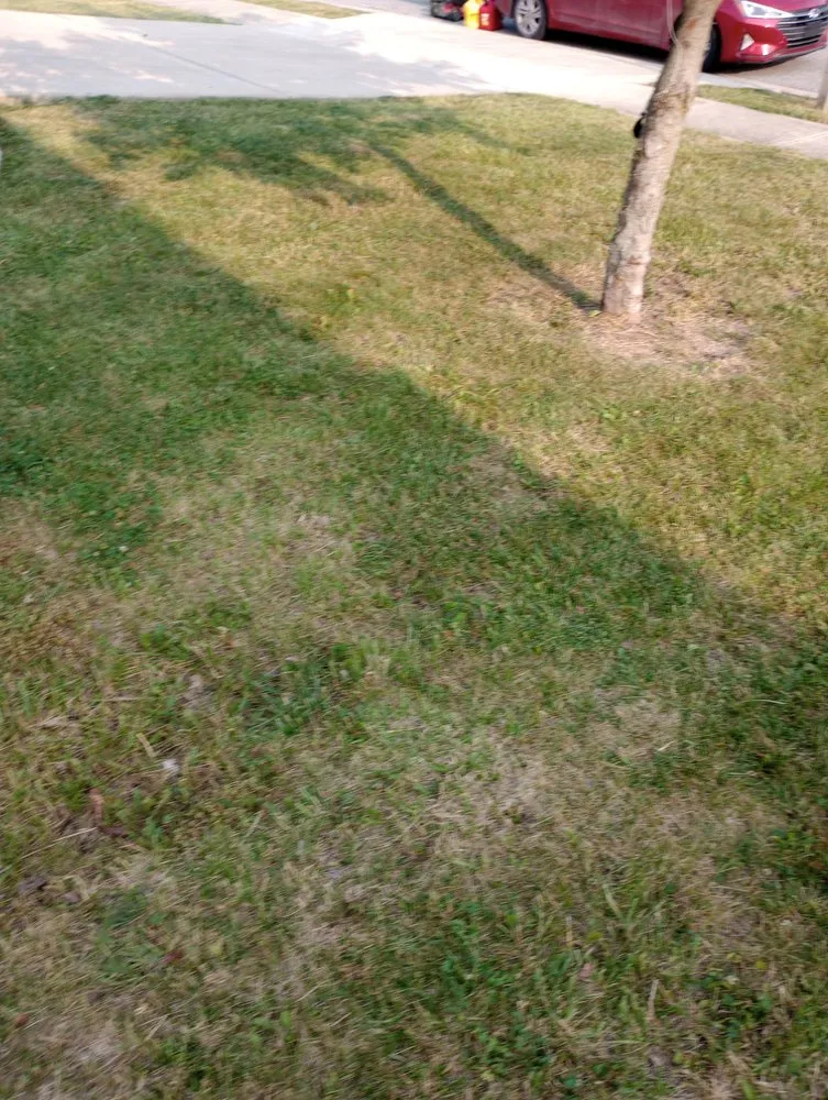 Professional outdoor landscaping with custom design in Indianapolis, IN by Whitehouse Junk Removal Cleaning And Lawn Care