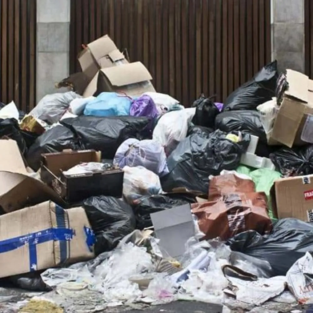 Affordable landscape installation for beautiful yards in Indianapolis, IN by Whitehouse Junk Removal Cleaning And Lawn Care