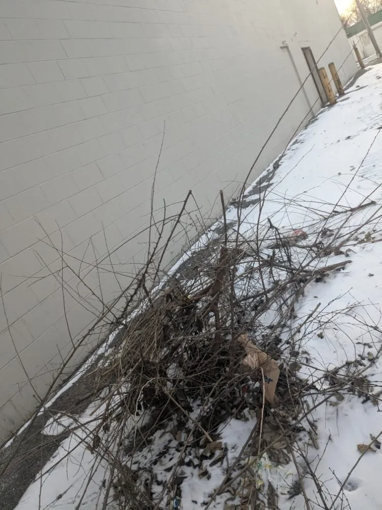 Expert landscape design experts serving Indianapolis, IN - Whitehouse Junk Removal Cleaning And Lawn Care