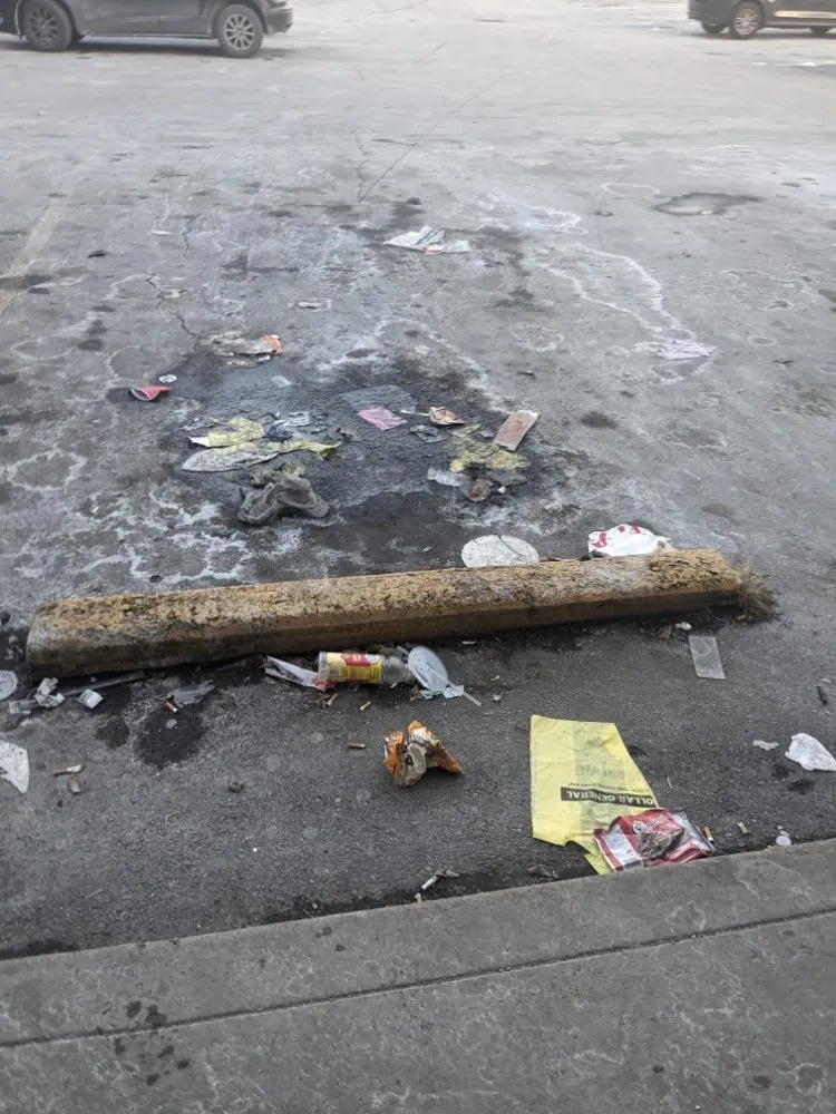 Expert lawn mowing service in Indianapolis, IN - Whitehouse Junk Removal Cleaning And Lawn Care