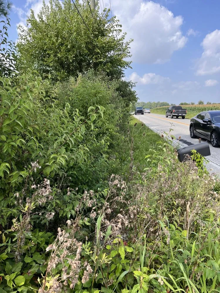 Top-rated garden landscaping in Indianapolis, IN - Whitehouse Junk Removal Cleaning And Lawn Care