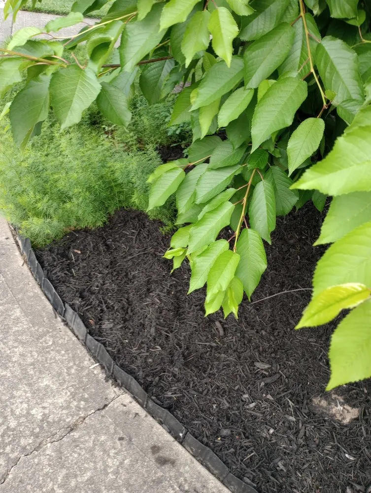 Trusted landscape design in Indianapolis, IN - Whitehouse Junk Removal Cleaning And Lawn Care