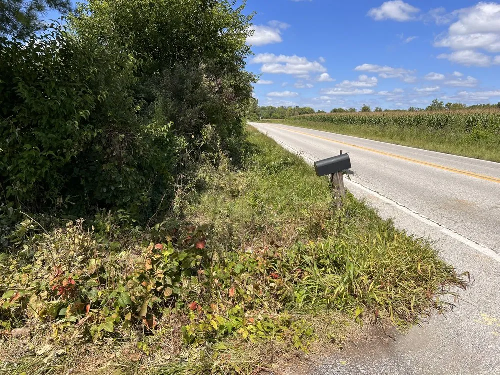 Local landscaping services in Indianapolis, IN - Whitehouse Junk Removal Cleaning And Lawn Care