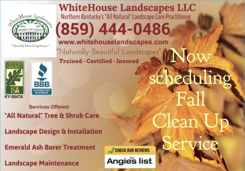 Reliable landscaping services in Florence, KY - WhiteHouse landscapes
