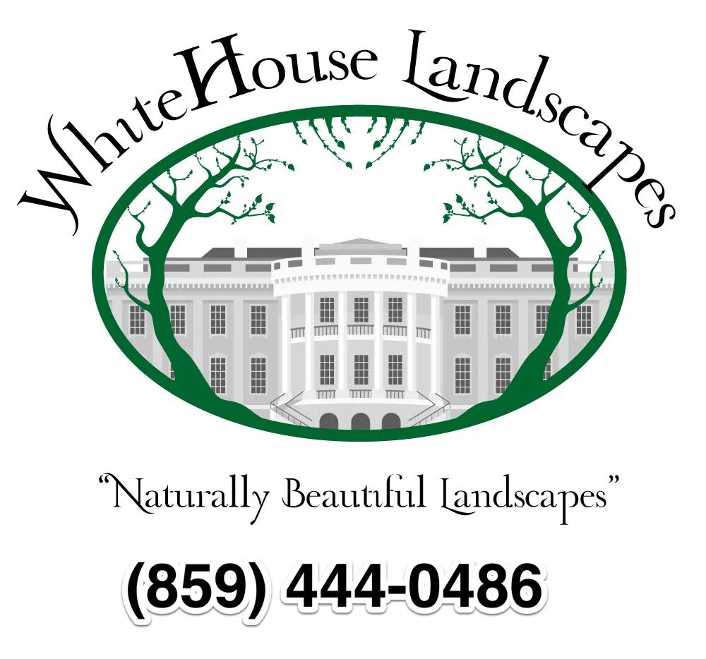 Custom landscape installation experts serving Florence, KY - WhiteHouse landscapes