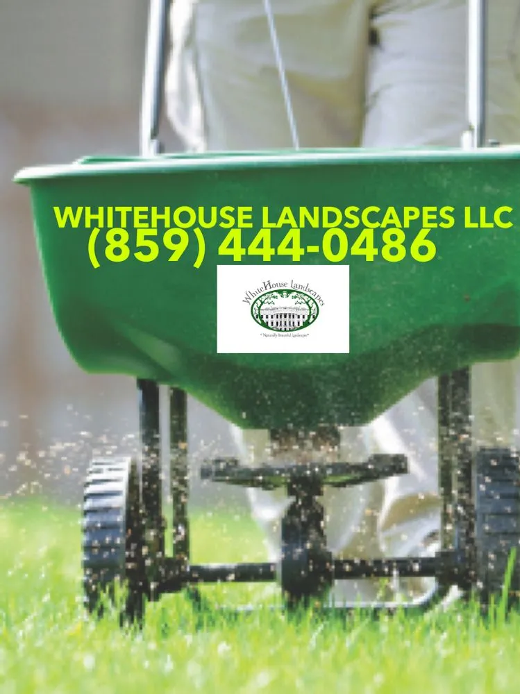 Reliable yard maintenance for homes in Florence, KY by WhiteHouse landscapes