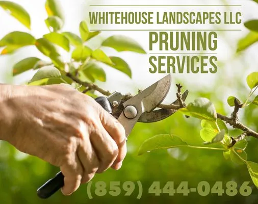 WhiteHouse landscapes Logo