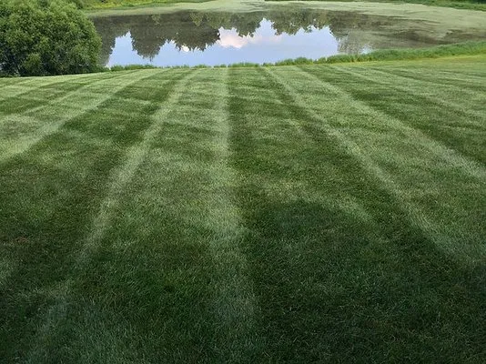 Whitehouse Lawn Care Logo