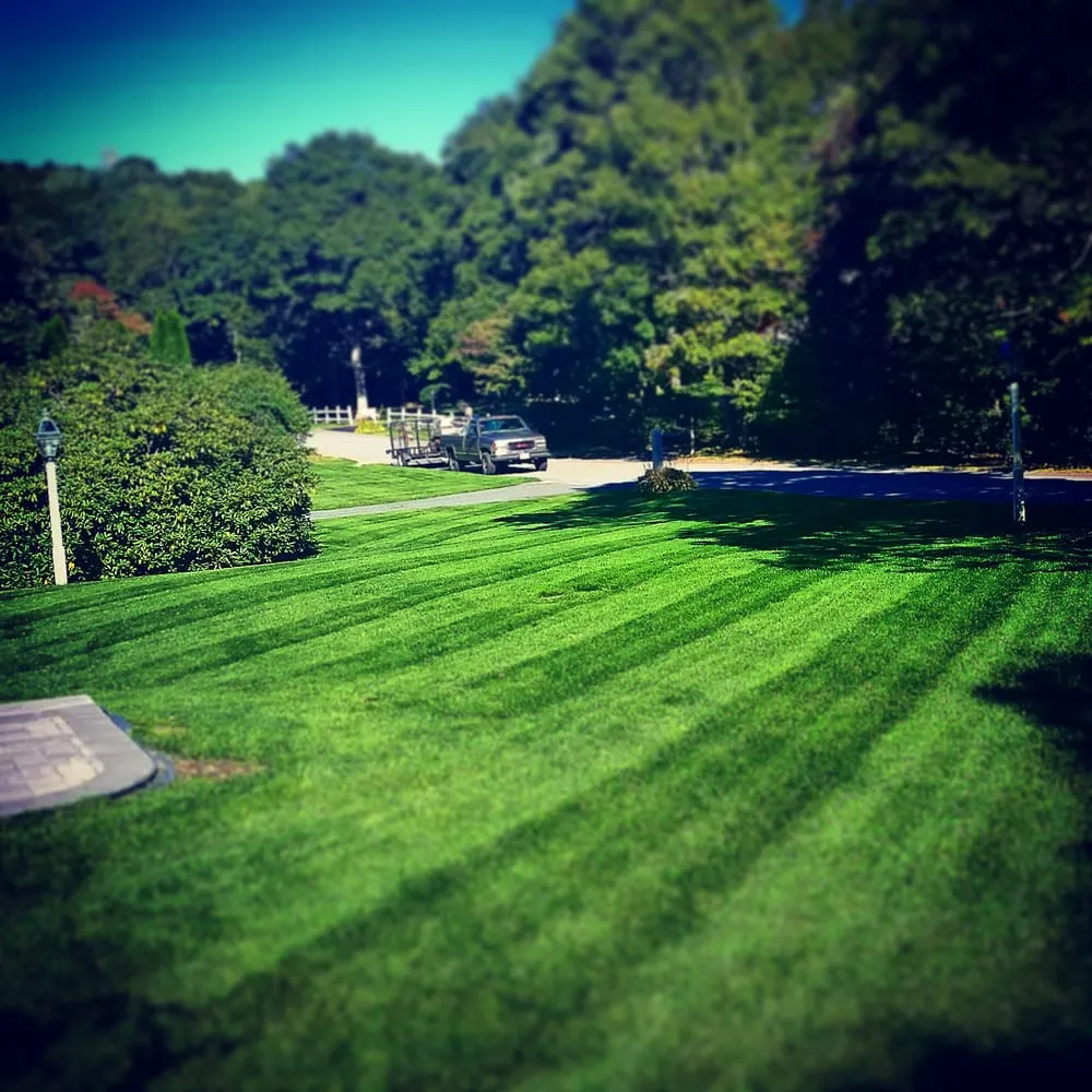 Reliable residential landscaping for homes across Centerville, MA - Whiteley Enterprises