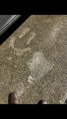 Whitemam Lawn Care & Pressure Washing Logo