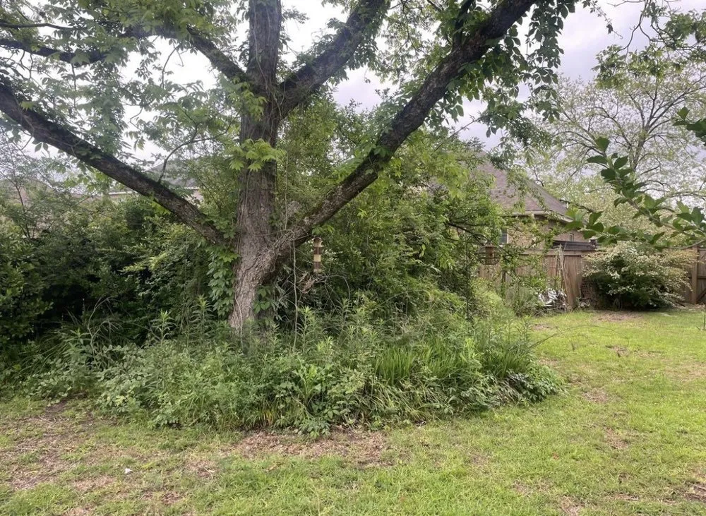 Top-rated garden landscaping experts serving Perry, GA - WhiteOak Landscape & Excavation