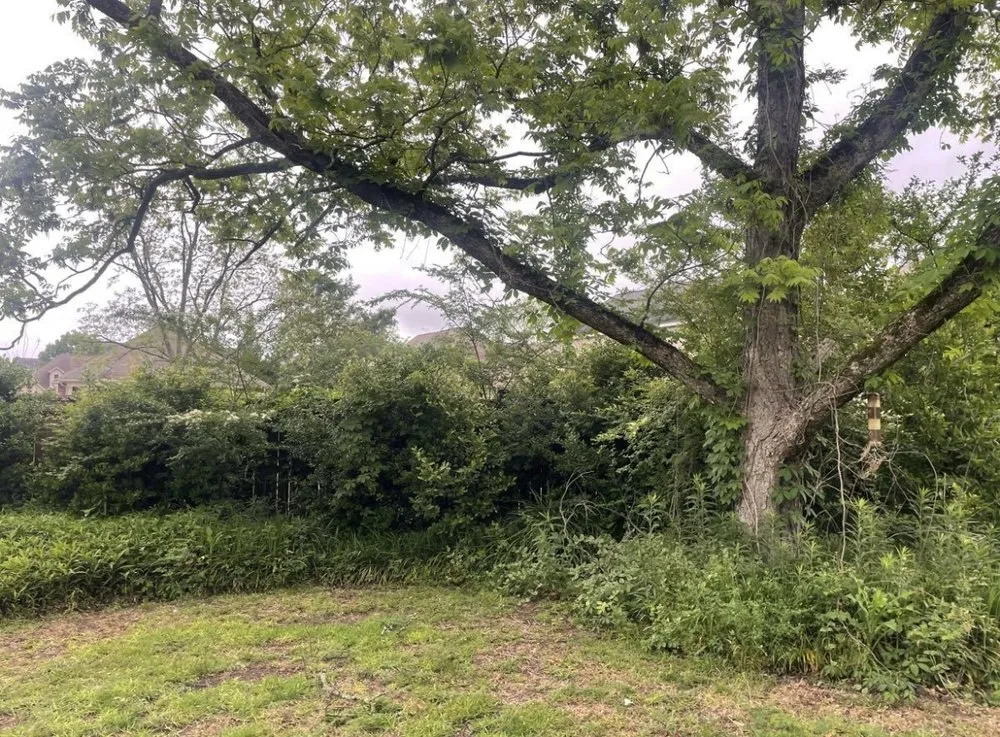 Expert garden landscaping experts serving Perry, GA - WhiteOak Landscape & Excavation