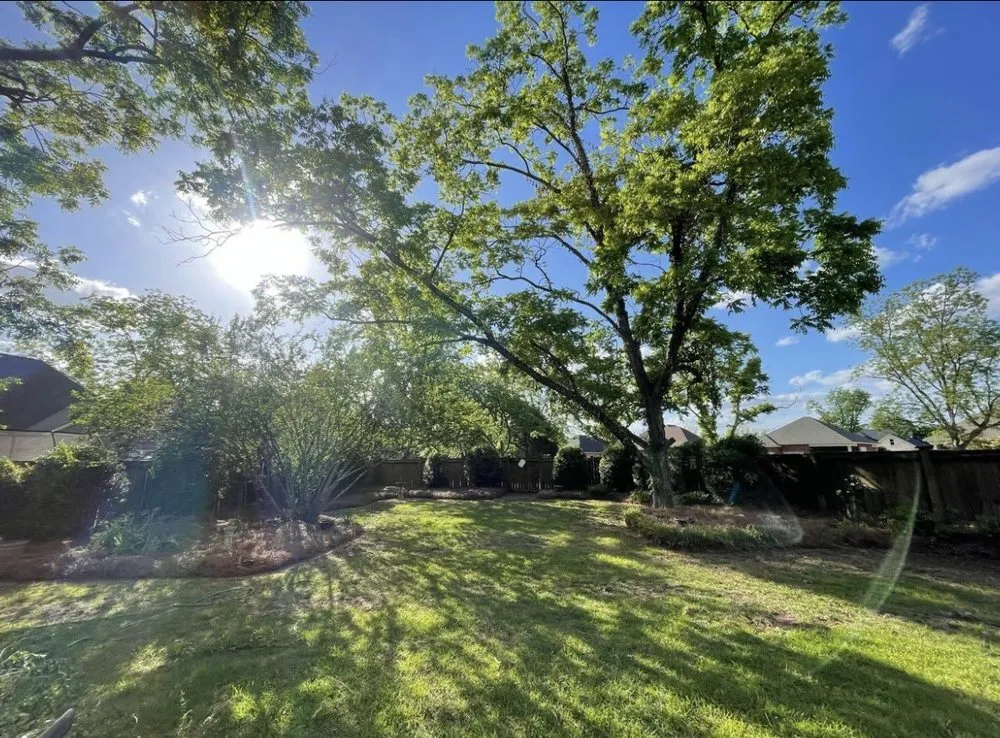 Top-rated yard maintenance in Perry, GA by WhiteOak Landscape & Excavation