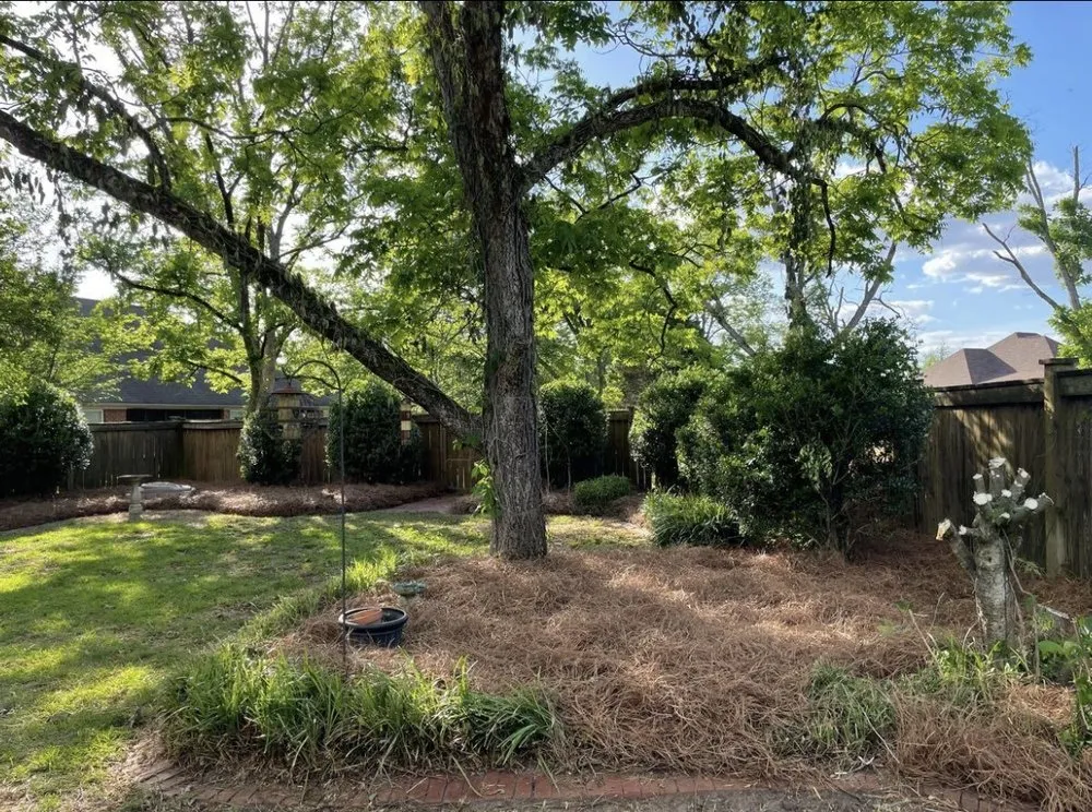 Trusted yard maintenance experts serving Perry, GA - WhiteOak Landscape & Excavation