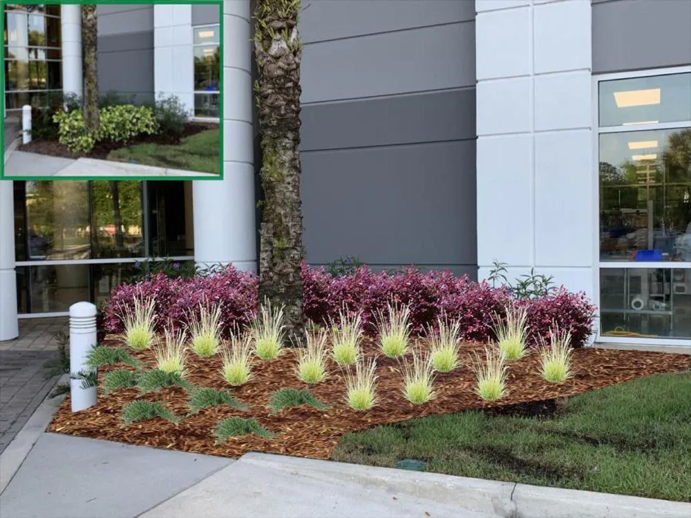 Local garden landscaping for year-round maintenance in Edgewood, FL by WhiteOaks Landscape