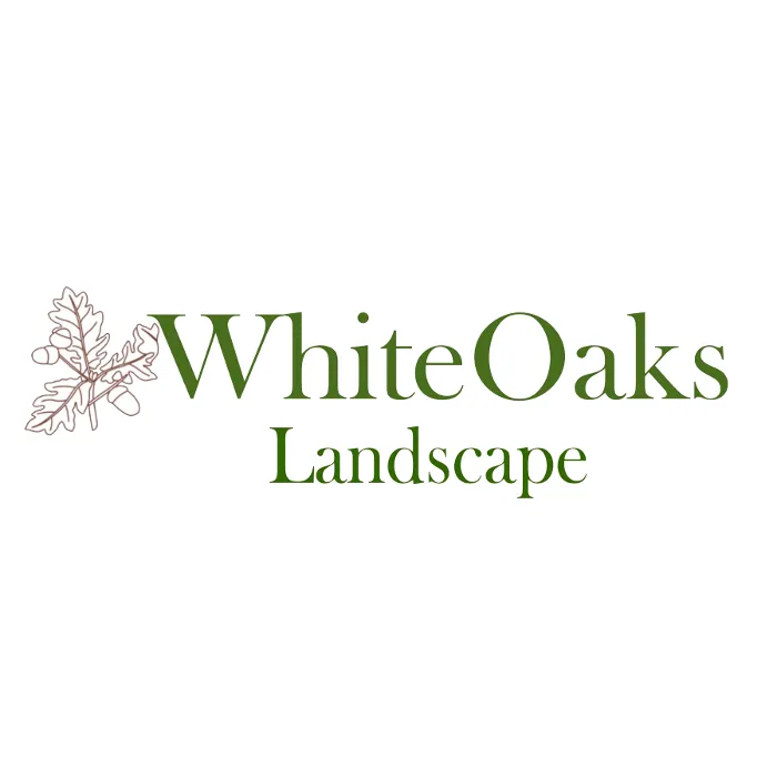 Custom landscaping services experts serving Edgewood, FL - WhiteOaks Landscape