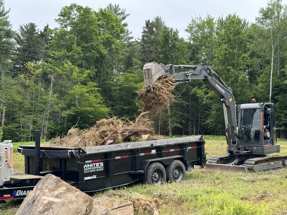 Affordable yard maintenance for outdoor upgrades in Whitefield, NH by White's Brush Management & Excavation