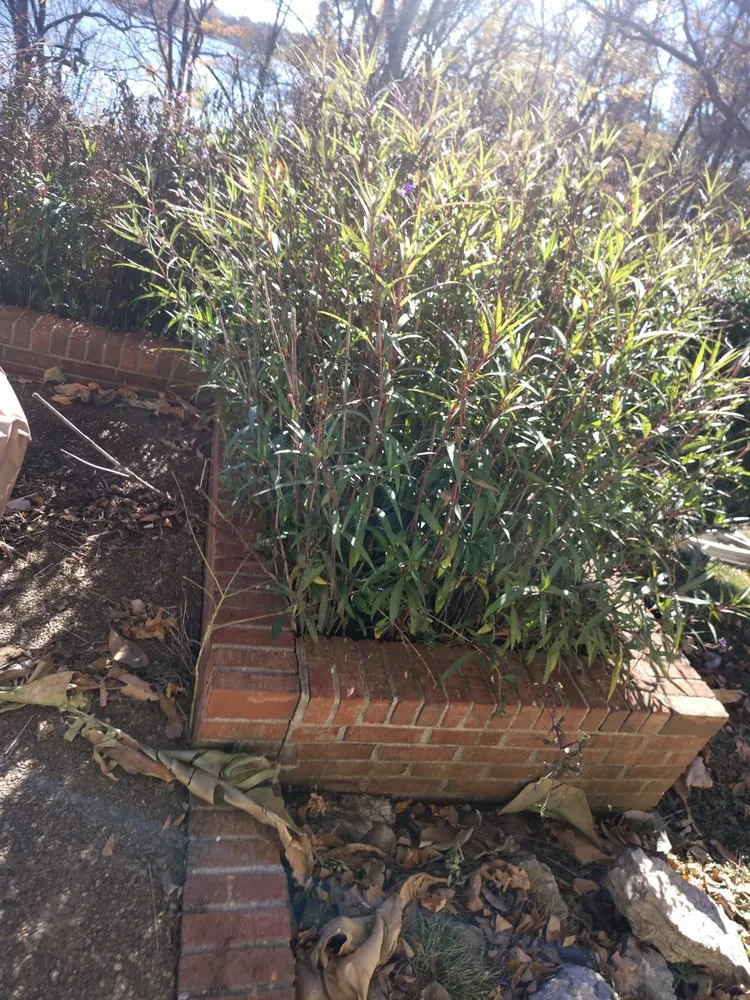 Custom yard cleanup service experts serving Gallatin, TN - Whites Home Services