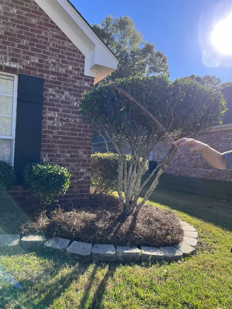 Top-rated lawn mowing service in Pelahatchie, MS by White’s Landscaping Services