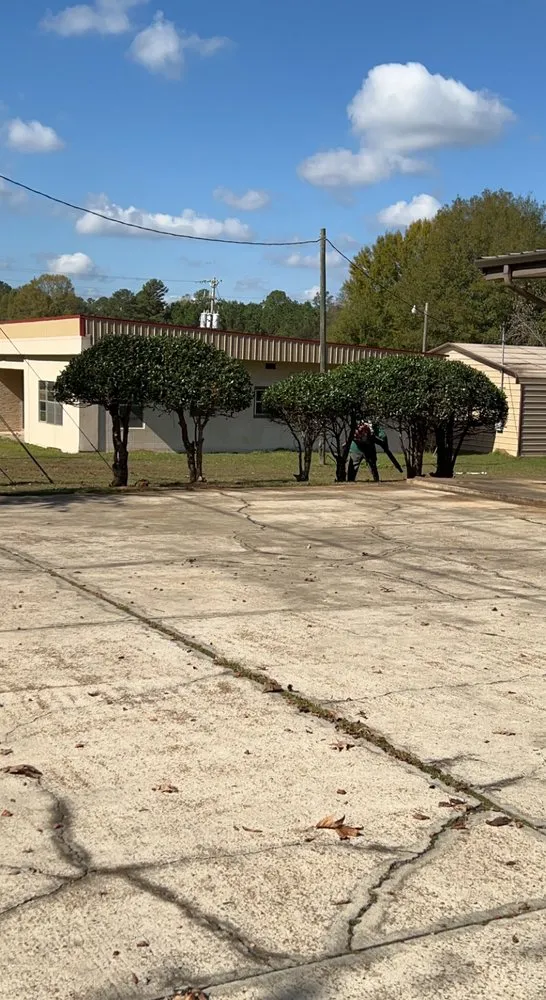 Reliable yard cleanup service for year-round maintenance in Pelahatchie, MS by White’s Landscaping Services