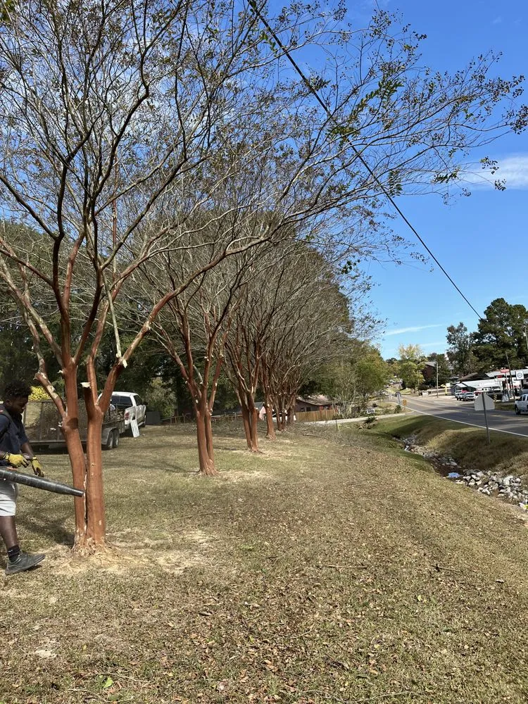 Local lawn mowing service for beautiful yards across Pelahatchie, MS - White’s Landscaping Services